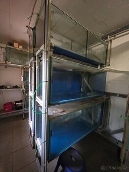 Akvarium 550L, 150x60x60, 7 kusů