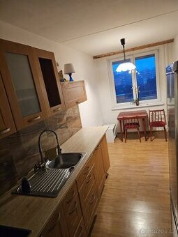 Pronájem bytu 1+1, 55 m2, ul. Bellušova