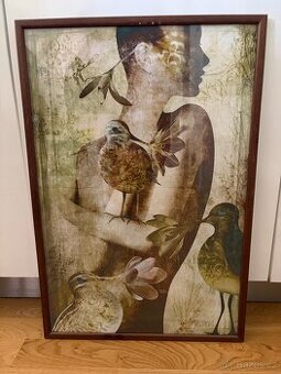 Prodám obraz včetně rámu 40 x 60 cm
