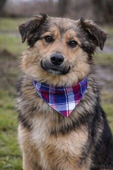 Mickey – malý princ s velkým srdcem a nekonečným úsměvem