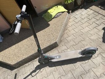 Prodám Elektro koloběžku