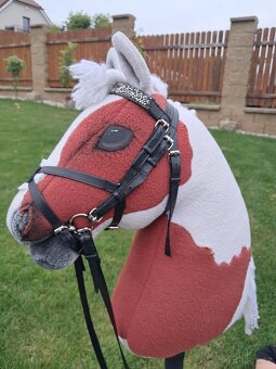 Hobby Horse - 1