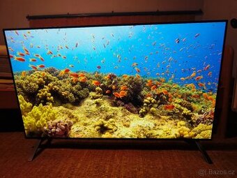 LG OLED 48A13LA