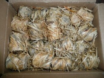 Podkrkonošský podpalovač z dřevité vlny, 100ks 6cm+- po 1150