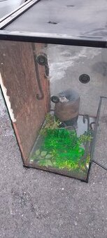 Prodám terárium příslušenství