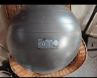 Gymnastický míč -Gymnic PLUS