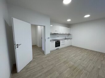 PRONÁJEM BT 3+KK BORŠICE U BLATNICE