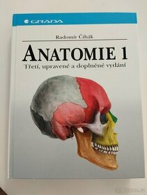 Anatomie 1 Čihák