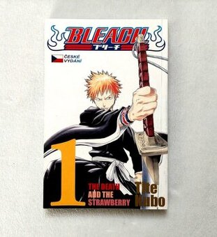 Bleach vol.1