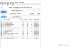 HDD 3,5" WD250JS