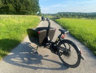 Cargo kolo Urban Arrow Family Performance Line