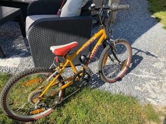 Author energy junior