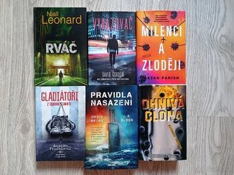 Nabídka beletrie od známých autorů