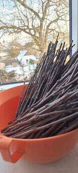 větvičky na ohryz - - pro hlodavce