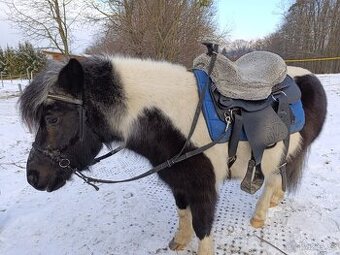 Podpůrné otěže pony