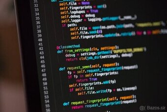 Tvorba webů, e-shopů a aplikací – i na splátky