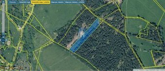 Nabízíme prodej pozemku Strážný, okres Prachatice 5547 m2 a - 1