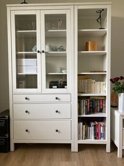 Knihovna, vitrina IKEA Hemnes