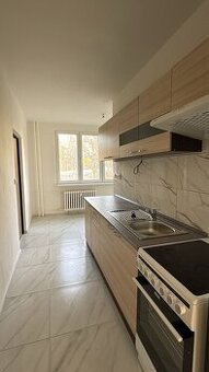 Nabízím k pronájmu byt 3+1L v  Děčín-Letná, ulice U Tvrze