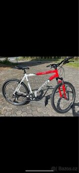 Kolo Specialized
