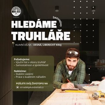 Hledám šikovného truhláře až 60.000 Kč (Desná Lbc kraj)