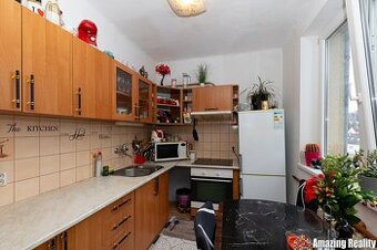 Prodej zděného bytu s plechovou garáží, v obci Mileč