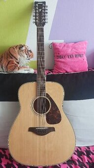 Dvanácti strunná kytara