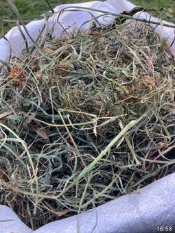 Kvalitní luční seno s vysokým obsahem jetele