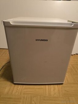 Malá lednice Hyundai