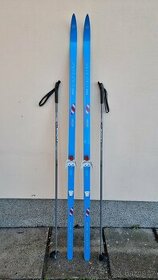 Turistické běžky ARTIST VEGA 694 (190cm), hole BIRKI (150cm)