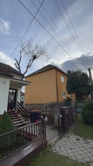 Kácení stromů | Ořez stromů | Rizikové kácení | Brno a okolí