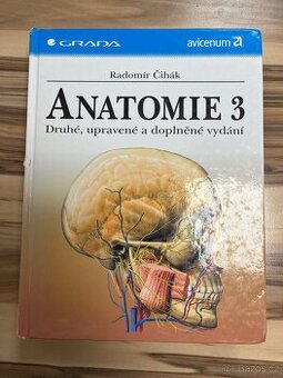 Anatomie 3 - Čihák