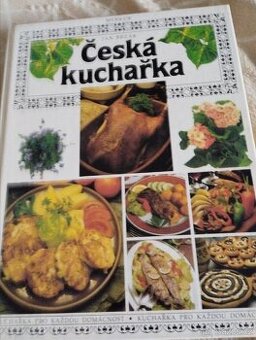 Kniha recepty na vše mozne - 1