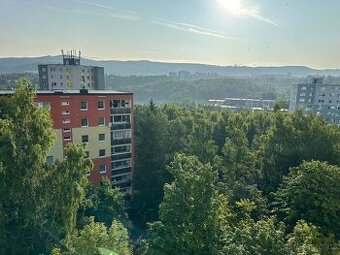 Pronájem bytu 1+1 o rozloze 40m2