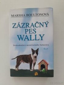 Zázračný pes Wally - M. Boultonová