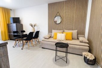 Byt 1+1, cihla, 40 m², Nový Malín (kompletně vybaven)