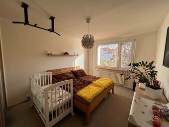 Pronájem vybaveného bytu 2+1 • 61 m², Meisnerova Chomutov