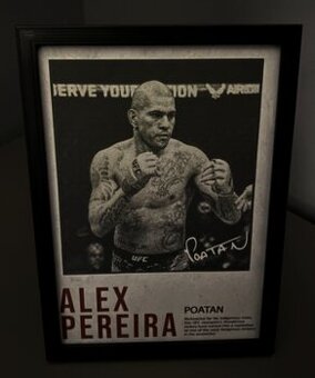 ❗️Prodej custom print-arts s UFC fightery dle výběru