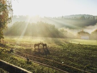 USTÁJENÍ KONÍ V JEZDECKÉM AREÁLU
