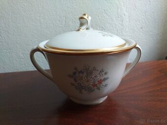 Porcelánová jídelní souprava