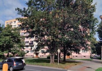Byt 3+1 v obci Frýdek-Místek, ID 7359e 2407
