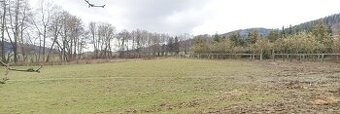 Pronájem pozemku 10.000m2 pro koně, nebo domácí zvířata.