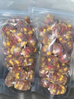 Chytací pelety MIX příchutí 25 mm punčocha