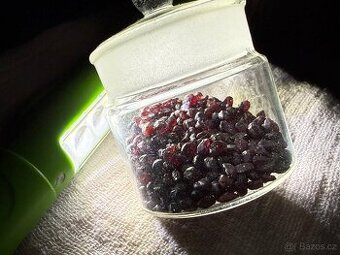 České granáty Pyrop i 4 mm