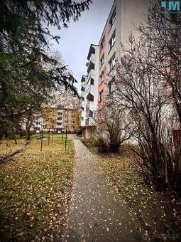 Pronájem bytu 1+1 41 m², Třebíč - Nové Dvory, ev.č. 01906