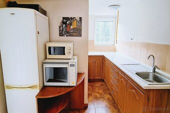 Pronájem prostorného podkrovního bytu 1+1 (70m2), zahrádka