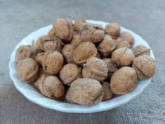 Vlašské neloupané ořechy