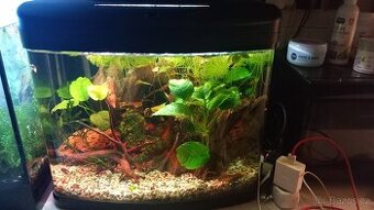 Akvarium 50l