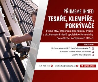 Přijmeme IHNED : Tesař, klempíř, pokrývač