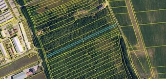Exkluzivně nabízíme k prodeji ovocný sad o výměře 1850 m².